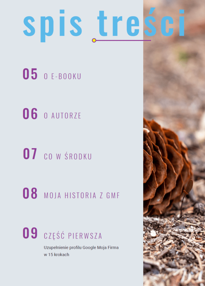 Google Moja Firma - wynieś bezpłatnie swój gabinet na orbitę internetu - obrazek 4