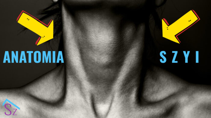 Anatomia Szyi - webinar Szkoły Laryngologów, środa 23 lutego, godz. 21:00 - Rafał Chmielewski