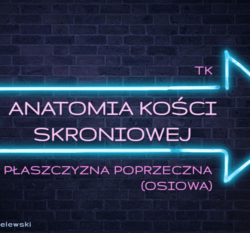 Anatomia kości skroniowej - webinar Szkoły Laryngologów - Rafał Chmielewski