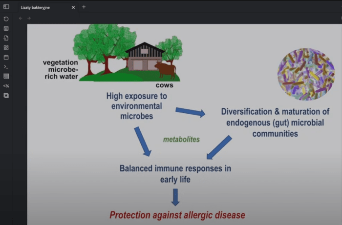 Lizaty bakteryjne w laryngologii (stan na 2025) - webinar Szkoły Laryngologów - Rafał Chmielewski