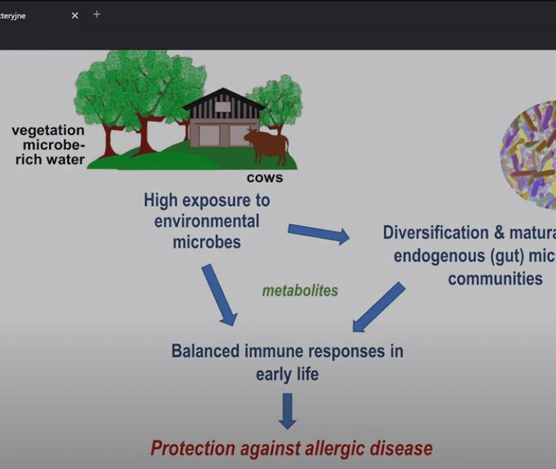 Lizaty bakteryjne w laryngologii (stan na 2025) - webinar Szkoły Laryngologów - Rafał Chmielewski